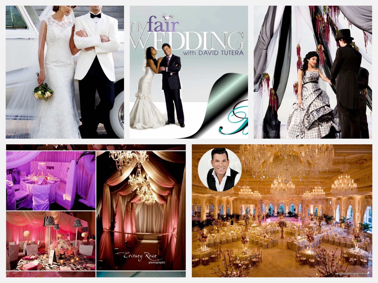 David Tutera My Fair Wedding: Brand Review & Guide