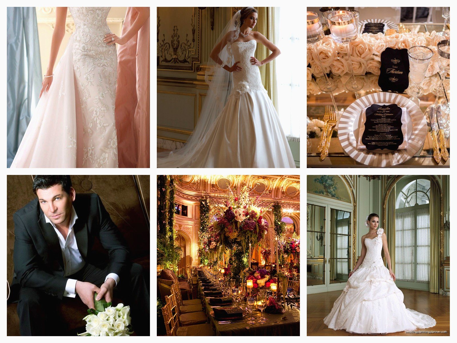 David Tutera Wedding: Brand Review & Guide