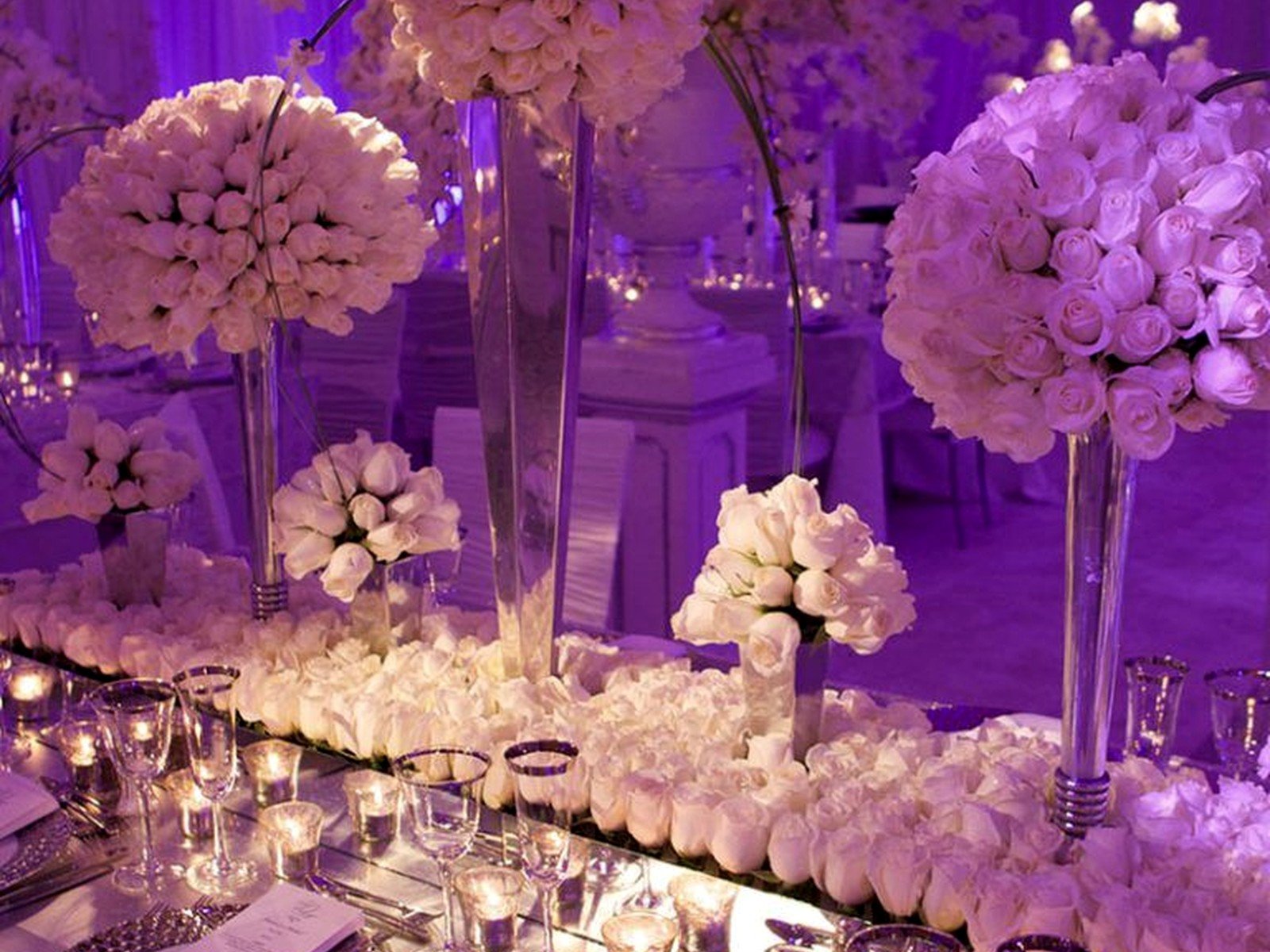David Tutera Wedding Decor: Brand Review & Guide