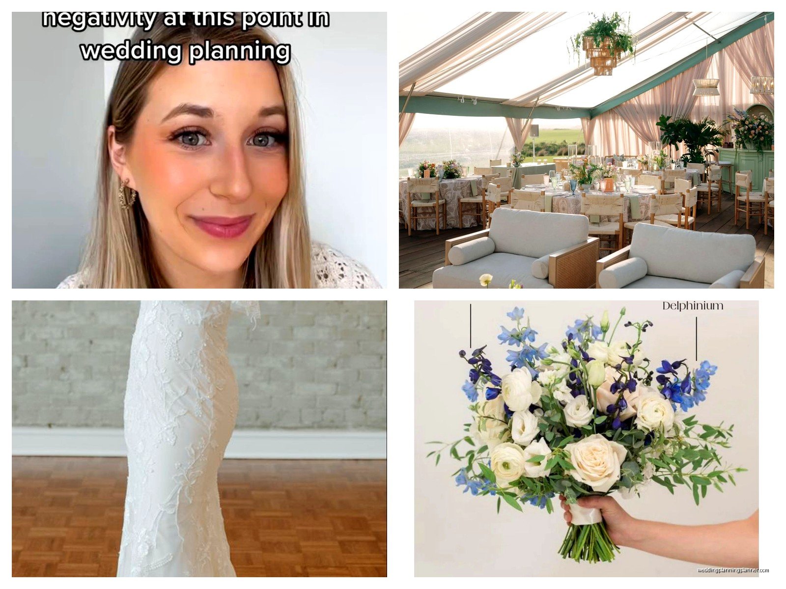 Marcy Blum Wedding Cost: Pricing Guide