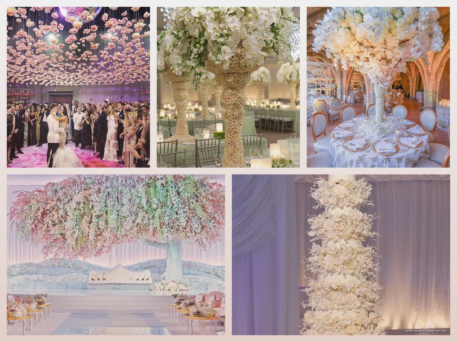 Preston Bailey Weddings: Brand Review & Guide