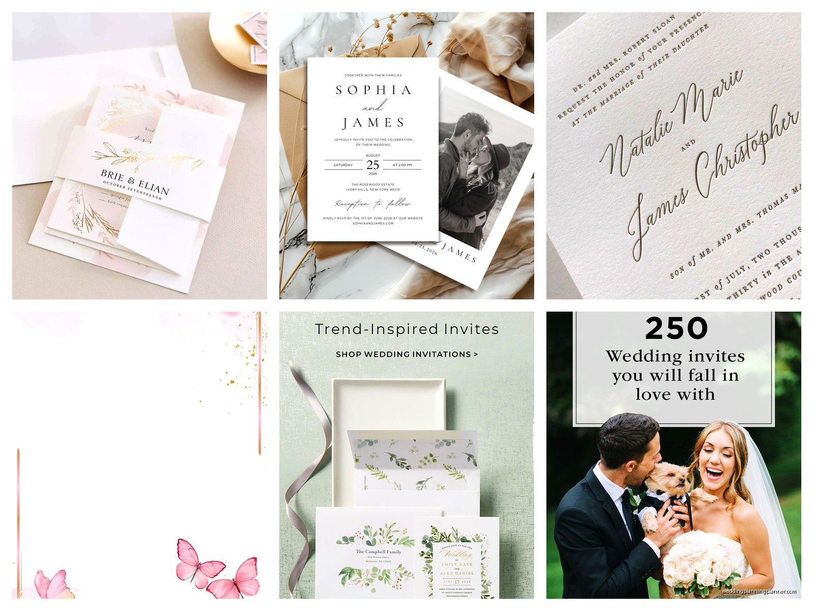 Shutterfly Invitations: Photo Card Printing Service