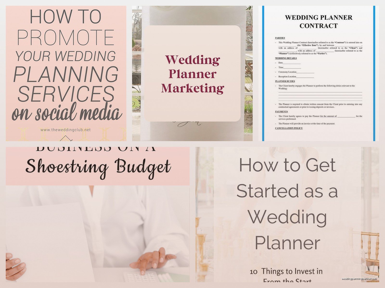 Wedding Planner Business Plan: Start Coordinator Company