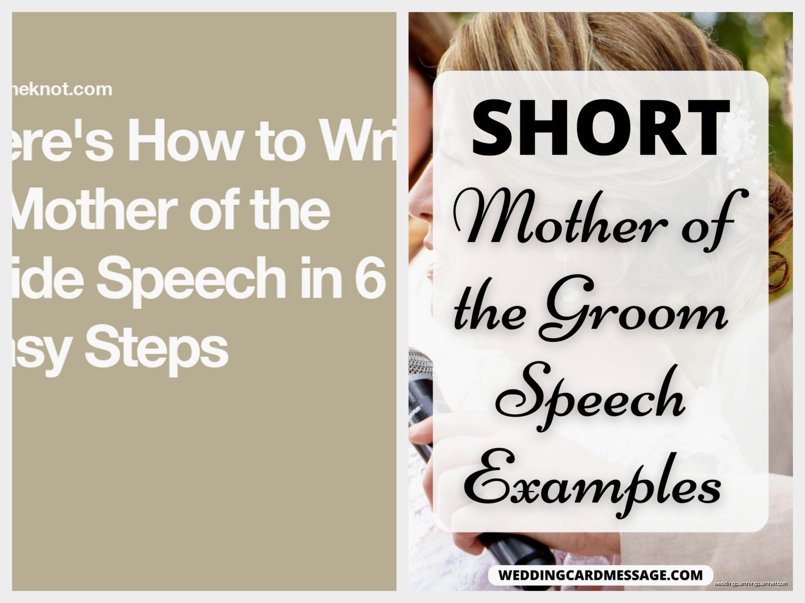 Mother Of The Bride Speech Examples: Sample Ideas & Examples