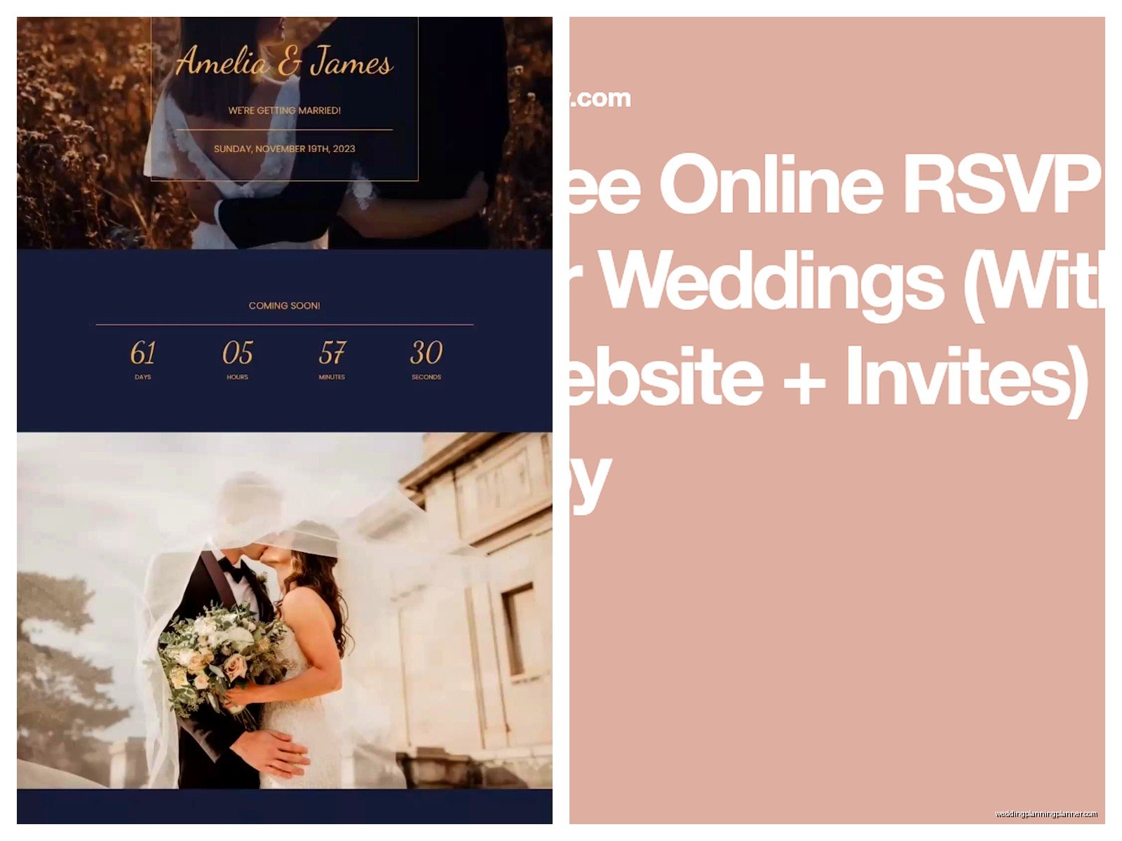 Wedding RSVP Website Examples: Online Response Samples