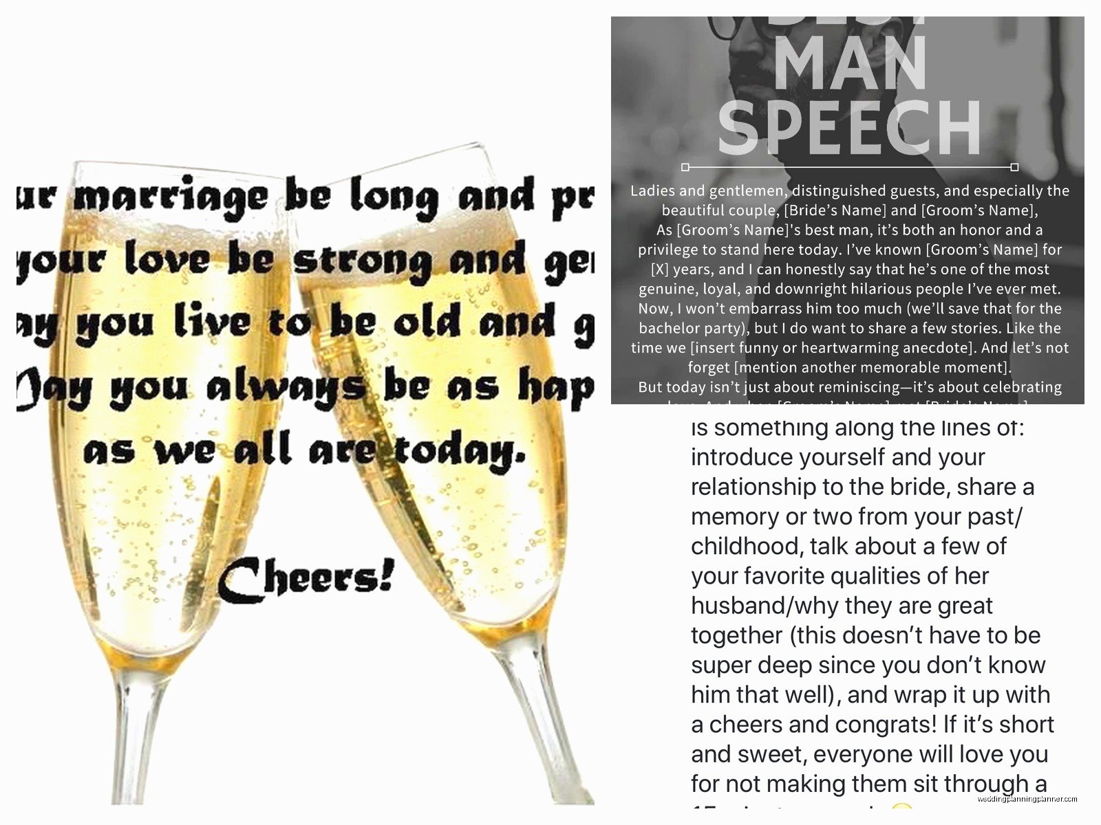 Wedding Toast Speech Sample: Sample Ideas & Examples