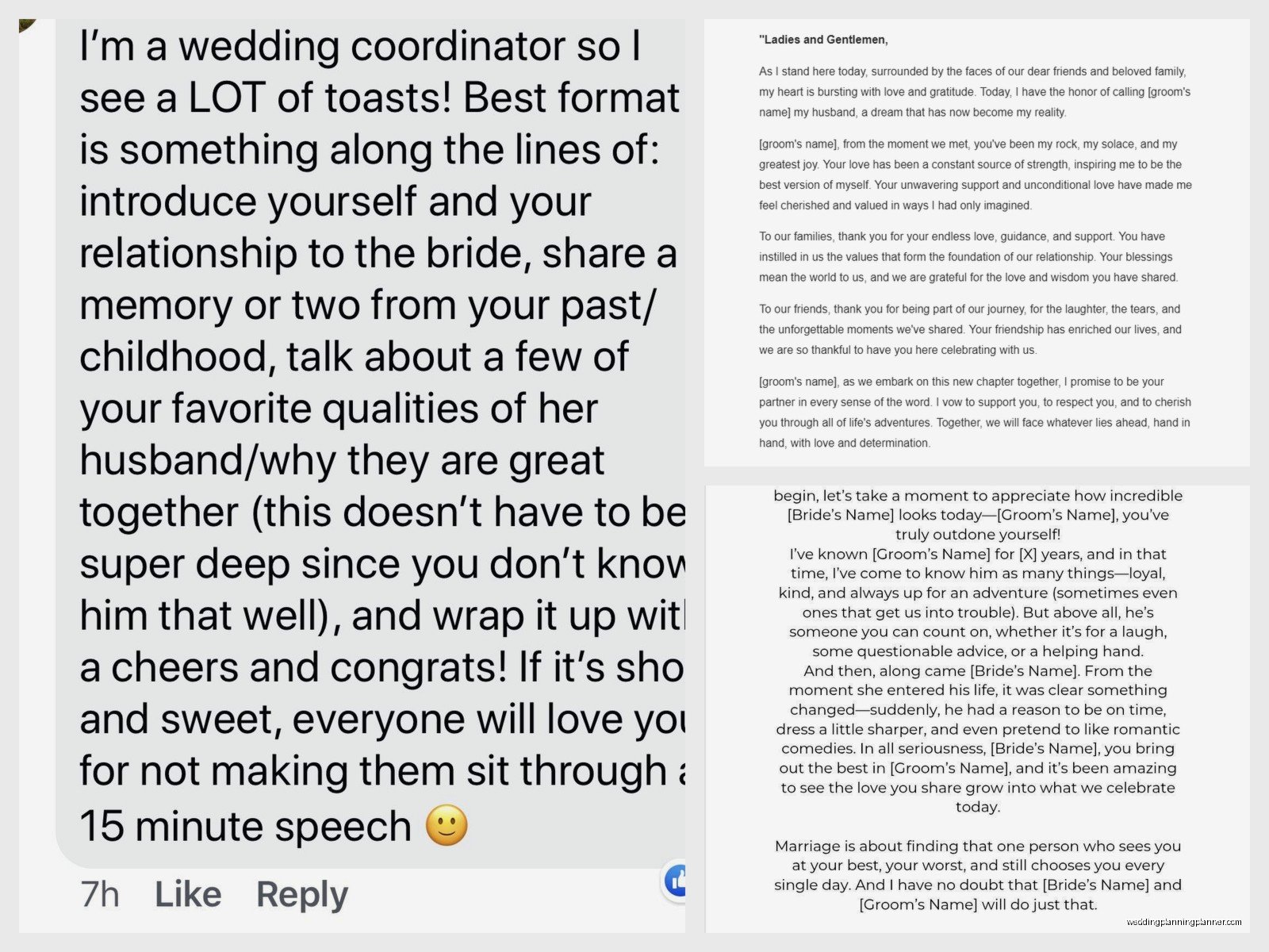 Wedding Toast Speech Sample: Sample Ideas & Examples