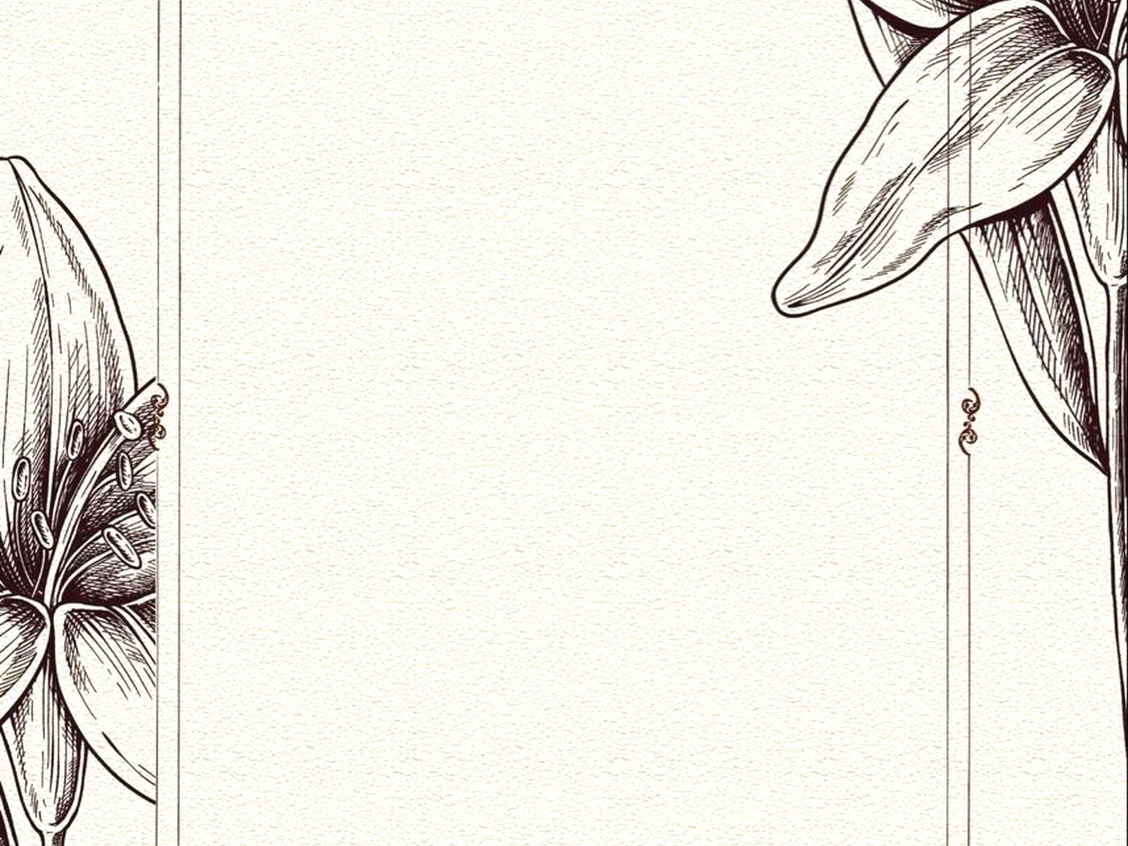 Invitation Layouts: Design & Ordering Guide