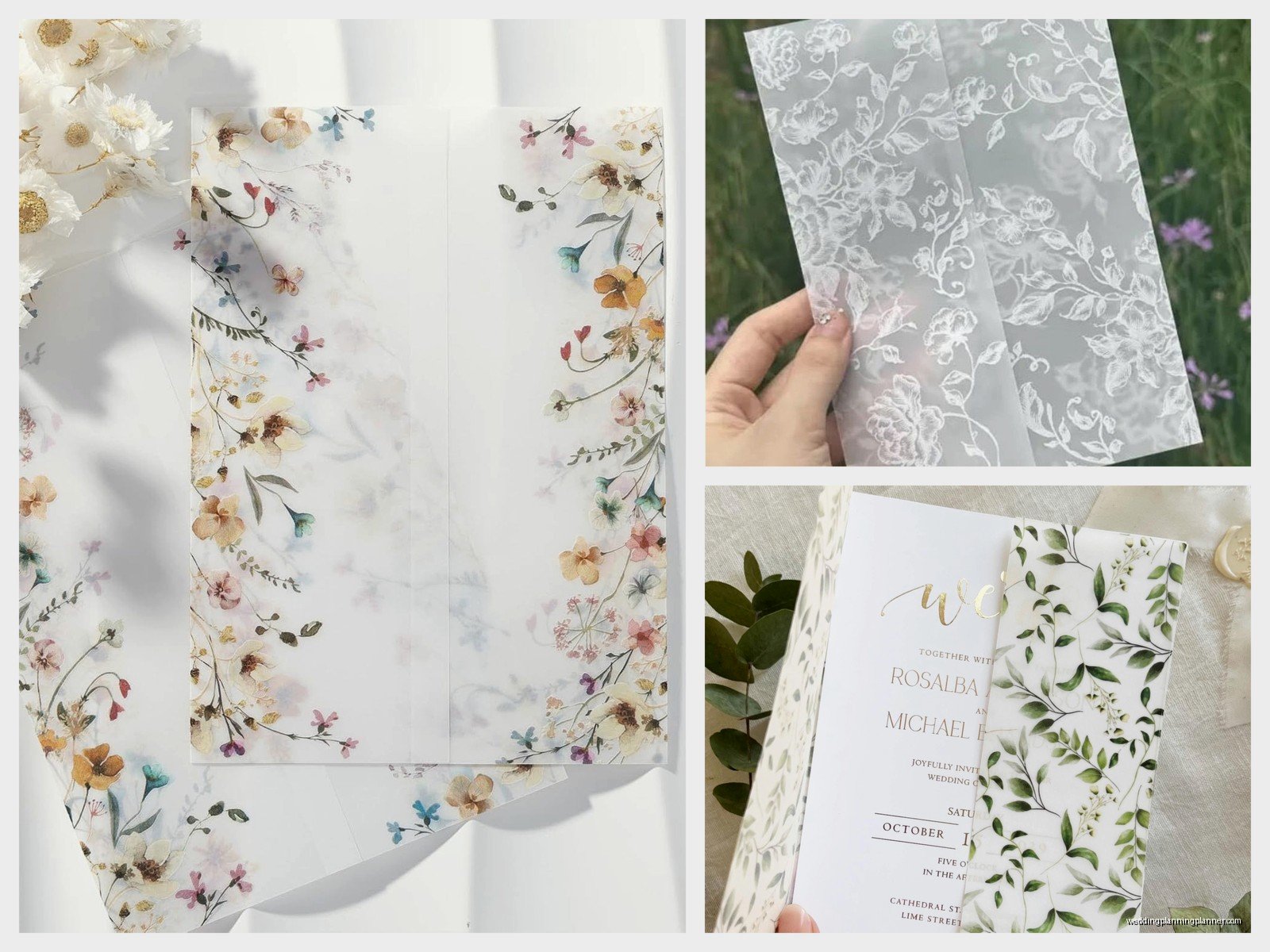 Vellum Jackets: Translucent Invitation Wrap Sleeves