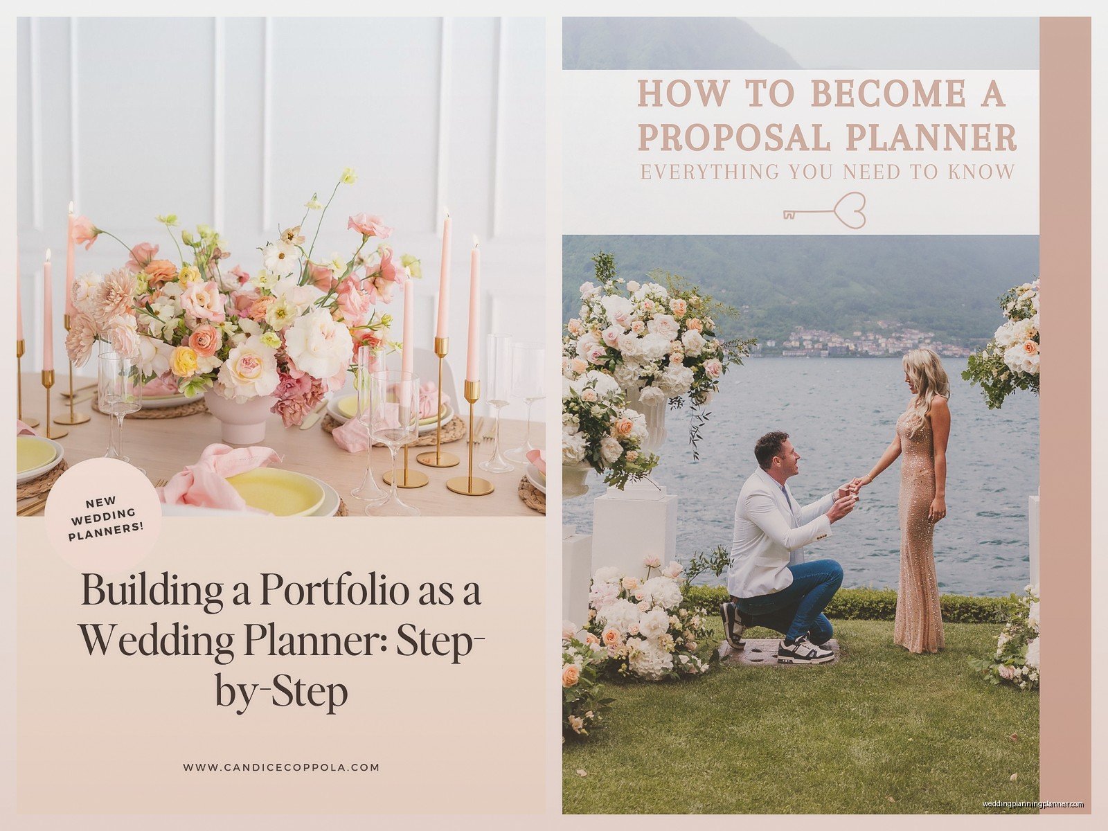 Wedding Planner Proposal: Coordinator Pitch Template