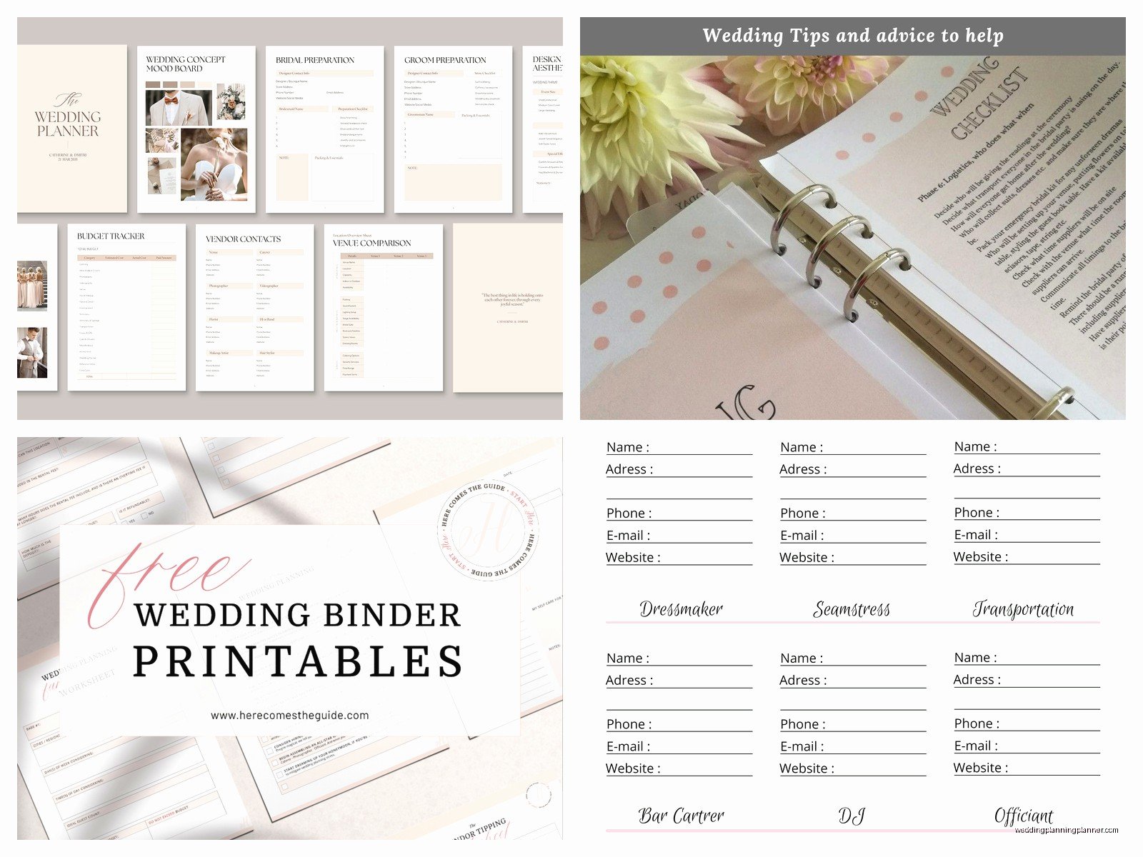 Find a Wedding Planner: Coordinator Search Guide