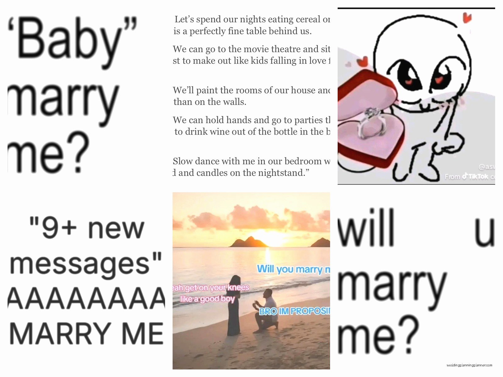 Marry Me Minimonies: Complete Guide