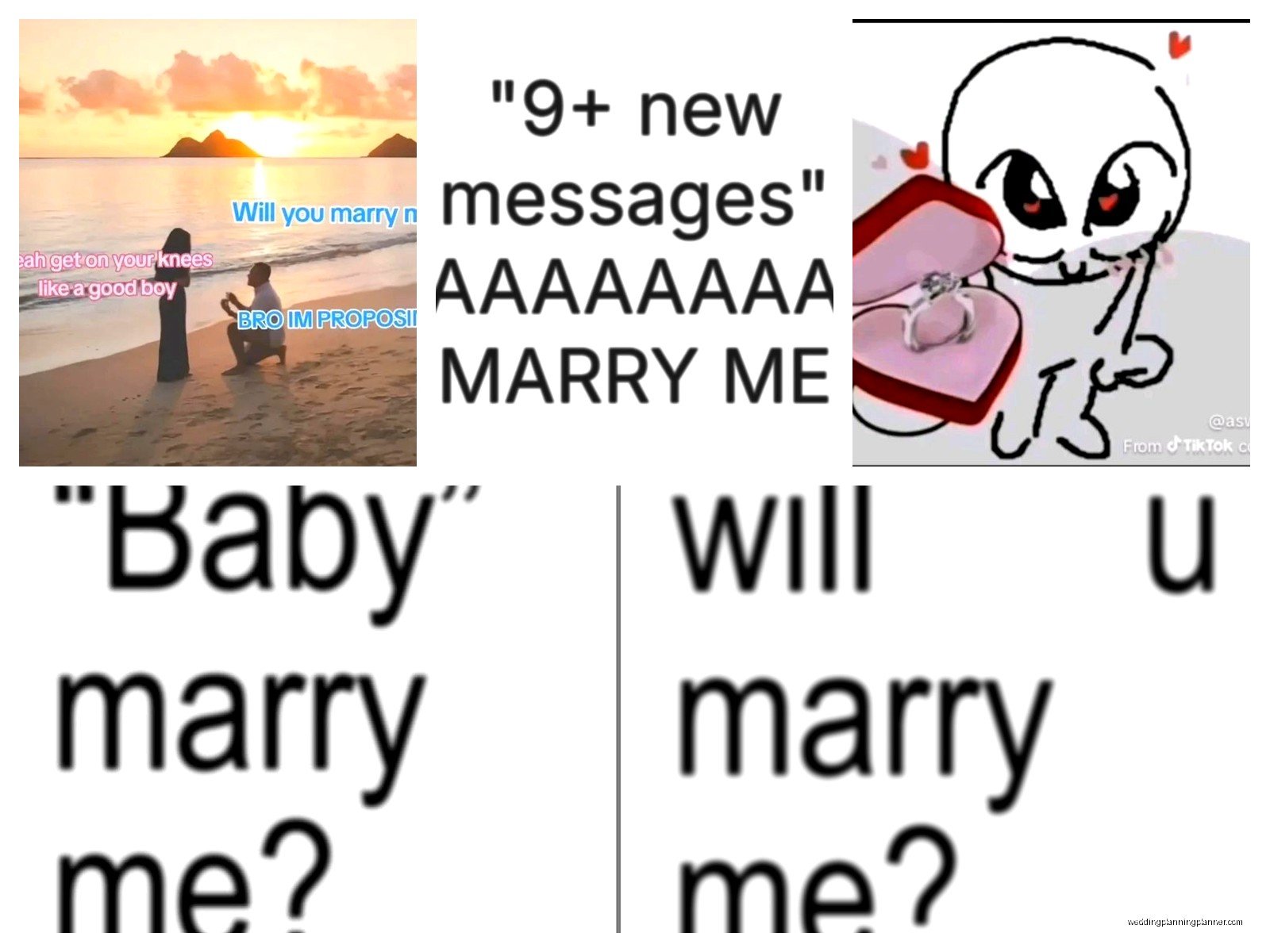 Marry Me Minimonies: Complete Guide