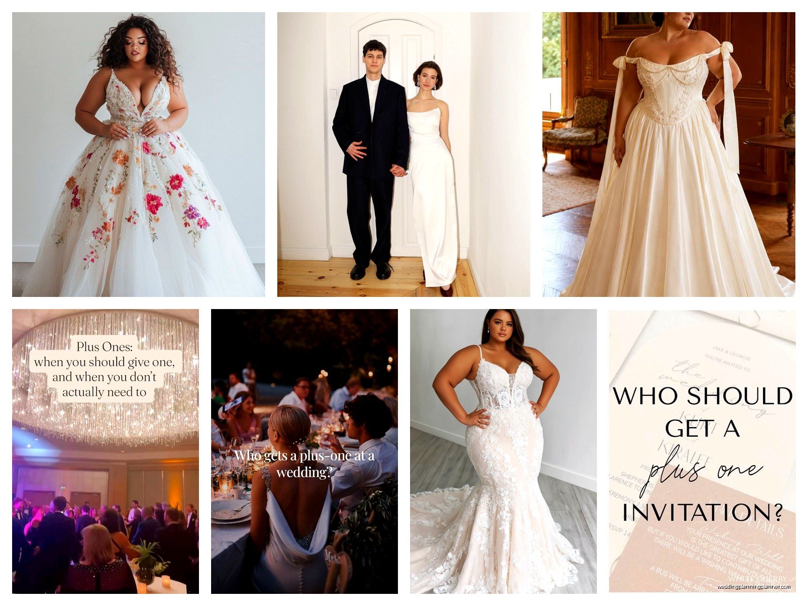 Plus One Wedding: Complete Guide