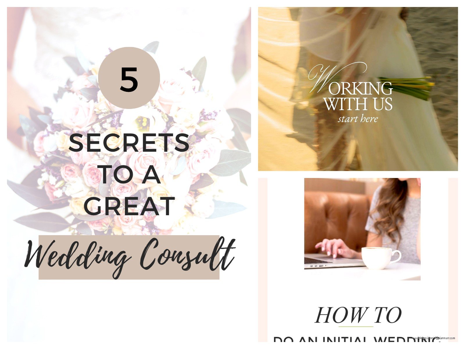 Wedding Consultant: Professional Advisory Services