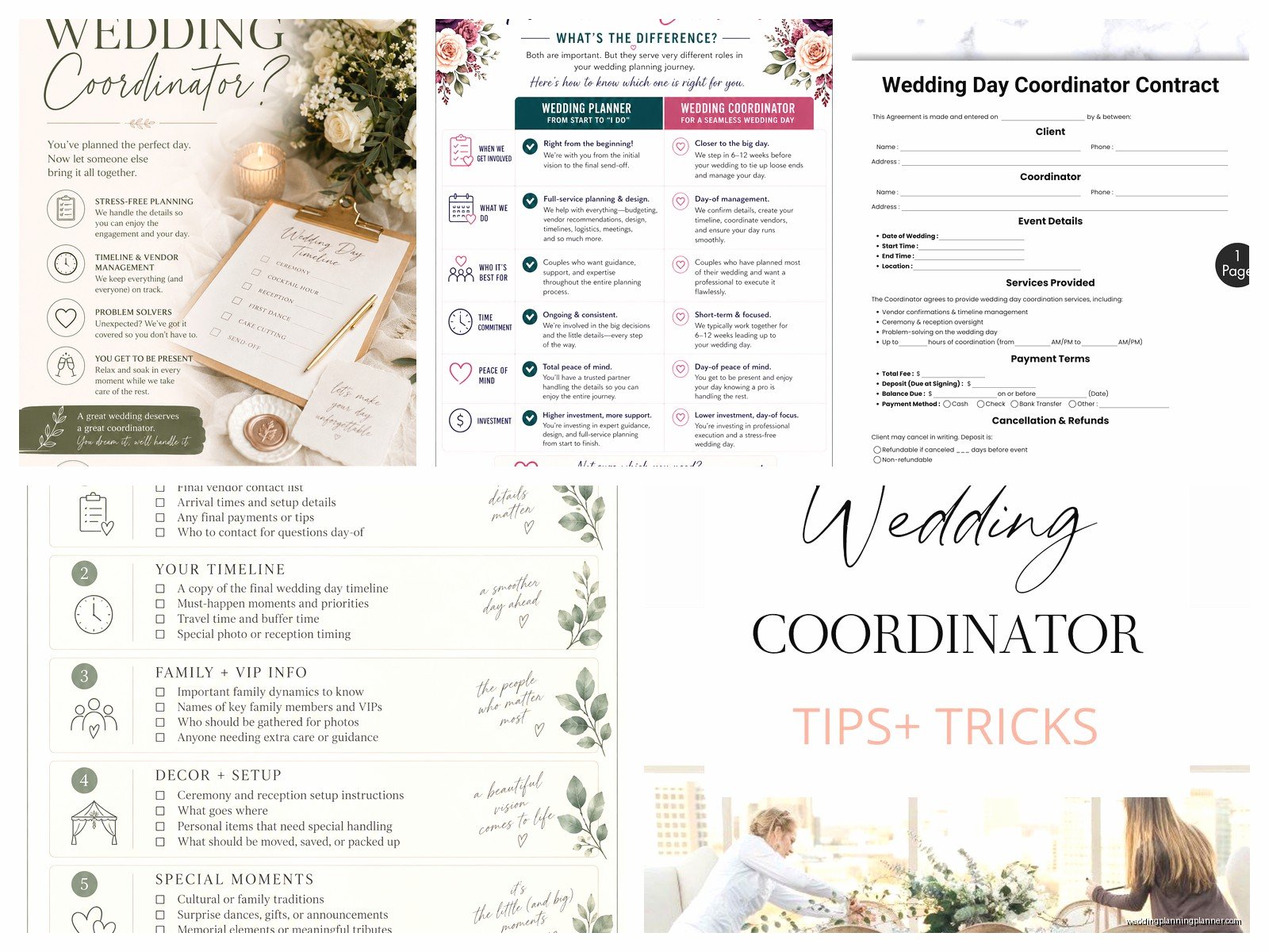 Licensed Wedding Coordinator: Complete Guide